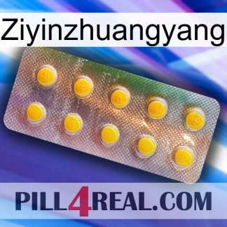 Ziyinzhuangyang new11